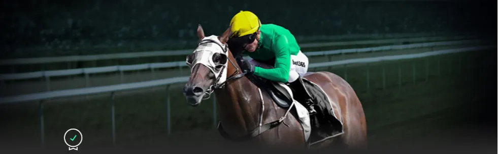 常规赛,山东,广东,好博,HaoBo,好博官网,好博体育官网,好博体育下载,好博APP