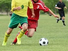 英媒称,阿尔特塔瞄,准莱奥,好博,HaoBo,好博官网,好博体育官网,好博体育下载,好博APP